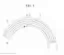 Fig. 04 - ABLATION DEVICE