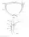 Fig. 06 - Annuloplasty repair devices, systems and methods