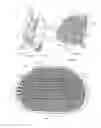 Fig. 02 - Body massager using shape memory alloy components