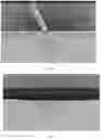 Fig. 02 - COMPOSITIONS AND METHODS FOR DISGUISING DERMATOLOGICAL BLEMISHES