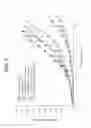 Fig. 10 - TRANSMUCOSAL DELIVERY OF PHARMACEUTICAL ACTIVE SUBSTANCES