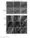 Fig. 09 - Formulations for tailored drug release
