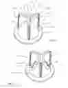 Fig. 07 - Valve