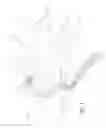 Fig. 08 - Enhanced flexibility neurovascular catheter