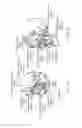 Fig. 02 - Trigeminal neurostimulation based upon pulse counting and chronobiology