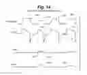 Fig. 12 - Electrical stimulation for preservation and restoration of diaphragm function