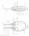 Fig. 06 - Stimulation patterns for treating dry eye