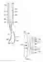Fig. 09 - Apparatus and method using near infrared reflectometry to reduce the effect of positional changes during spinal cord stimulation