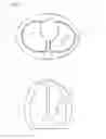 Fig. 03 - Respiratory gating system for patient using natural breathing method during radiation therapy, and method for emitting radiation thereby