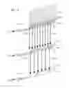Fig. 06 - Water collecting pallet rack and method of fire protection