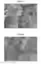 Fig. 09 - METALLIC COPPER PARTICLES, AND PRODUCTION METHOD THEREFOR
