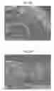 Fig. 19 - METALLIC COPPER PARTICLES, AND PRODUCTION METHOD THEREFOR