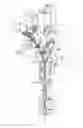 Fig. 02 - Packing pocket