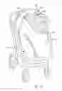 Fig. 08 - Stroller shade