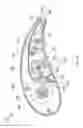 Fig. 06 - False eyelash dispenser
