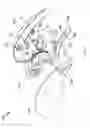 Fig. 07 - False eyelash dispenser