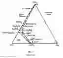 Fig. 04 - WHITE CARBONATABLE CALCIUM SILICATE-BASED CEMENTS AND METHODS OF PREPARATION AND USE THEREOF