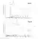 Fig. 07 - Methods for preparing phenolic branched chain alkyl fatty acids or esters thereof and methods for killing microorganisms