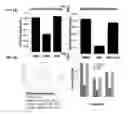 Fig. 06 - Antitumor derivatives for differentiation therapy