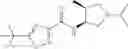 Fig. 216 - Substituted Pyrrolidine Compounds