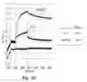 Fig. 43 - UNIVERSAL FIBRONECTIN TYPE III BINDING-DOMAIN LIBRARIES