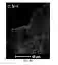 Fig. 09 - Core-shell nanostructures and related inks, films and methods