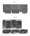 Fig. 05 - Method for producing cerebellar progenitor tissue