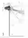 Fig. 09 - Lighting device with off-axis reflector and light source