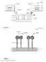 Fig. 02 - Polarization selective surface enhanced raman spectroscopy
