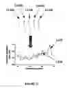 Fig. 09 - Systems, methods and devices for highly-parallelized QUS-value determination for characterizing a specimen