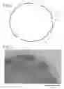Fig. 02 - Method of producing toner for developing electrostatic images