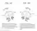 Fig. 08 - Small boat posture control apparatus