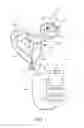Fig. 02 - Display device, method of controlling display device, and program