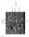 Fig. 08 - Compositions and methods for energy storage device electrodes