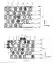 Fig. 07 - Graphene wiring structure and method for manufacturing graphene wiring structure