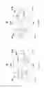 Fig. 02 - Static random access memory and manufacturing method thereof