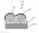 Fig. 01 - METHOD FOR MANUFACTURING LIGHT EXTRACTION SUBSTRATE FOR ORGANIC LIGHT-EMITTING DIODE, LIGHT EXTRACTION SUBSTRATE FOR ORGANIC LIGHT-EMITTING DIODE, AND ORGANIC LIGHT-EMITTING DIODE INCLUDING SAME
