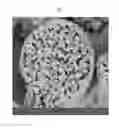 Fig. 02 - LITHIUM METAL OXIDE CONTAINING BATTERIES HAVING IMPROVED RATE CAPABILITY