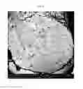 Fig. 04 - LITHIUM METAL OXIDE CONTAINING BATTERIES HAVING IMPROVED RATE CAPABILITY