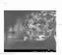 Fig. 08 - NEGATIVE ELECTRODE MATERIAL FOR LITHIUM ION SECONDARY CELL AND METHOD FOR MANUFACTURING THE SAME