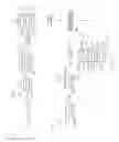 Fig. 03 - Reinforced electrode assembly