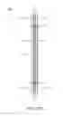 Fig. 43 - Mobile device and antenna structure