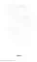 Fig. 07 - 