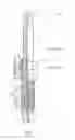Fig. 02 - Spark plug