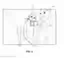 Fig. 06 - Irregular-region based automatic image correction
