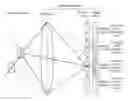 Fig. 01 - Light field capture control methods and apparatuses, light field capture devices