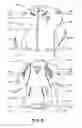 Fig. 07 - WIRELESS SIGNAL LIGHT SYSTEMS FOR VEHICLES INCLUDING WIRELESS ILLUMINATED GEAR AND CLOTHING