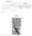 Fig. 02 - Apparatus and associated methods for deformable electronics
