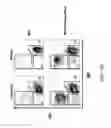 Fig. 22 - Human lambda light chain mice