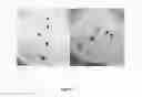 Fig. 08 - Herbicide compositions and methods for controlling growth of plants of the buckthorn family